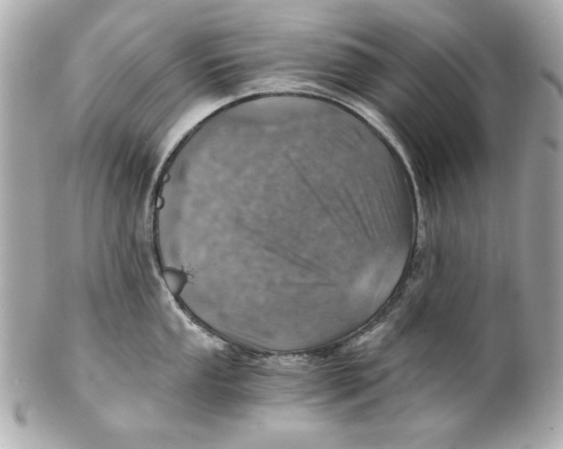 X0000101651053200807311409