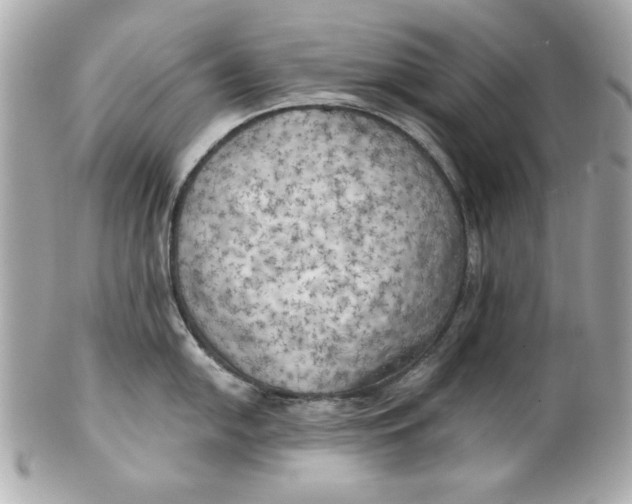 X0000101651054200807311409