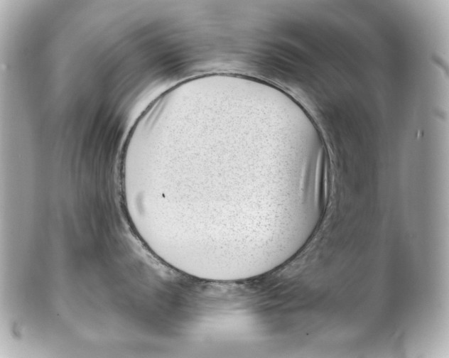 X0000101651056200807311409