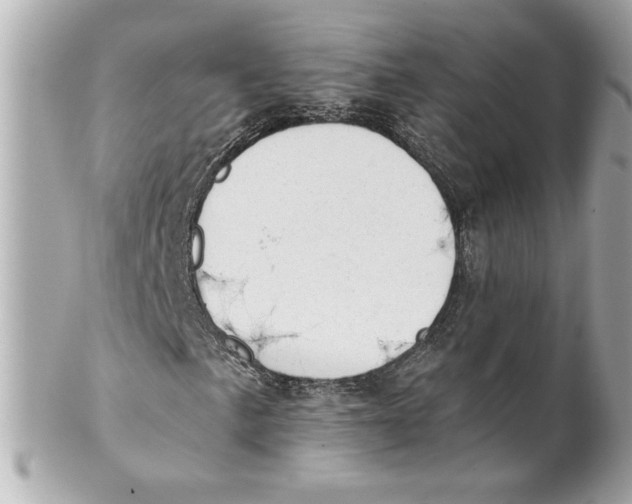 X0000101651057200807311408