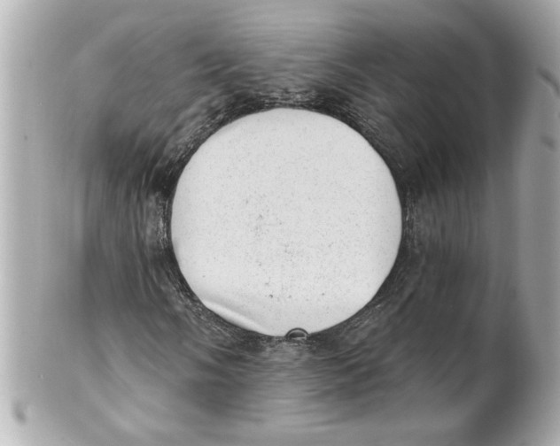 X0000101651058200807311408