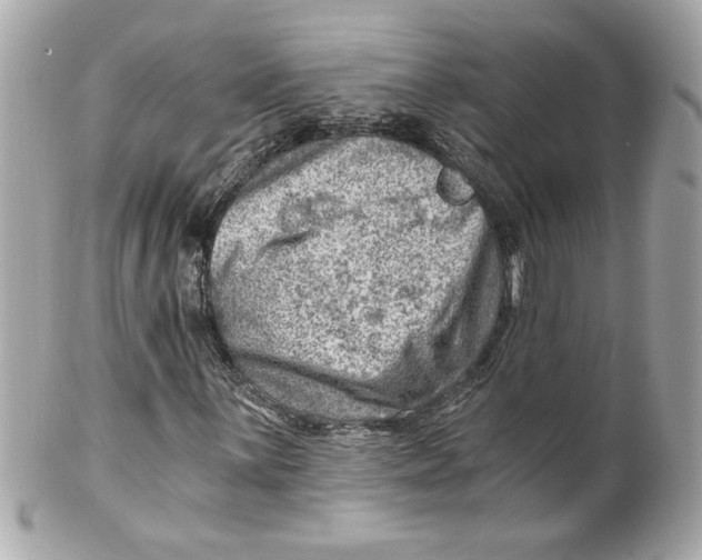 X0000101651059200807311408