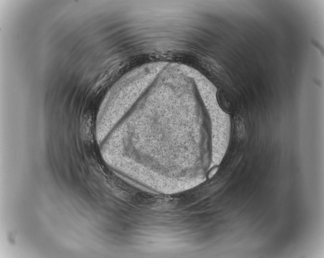X0000101651060200807311408