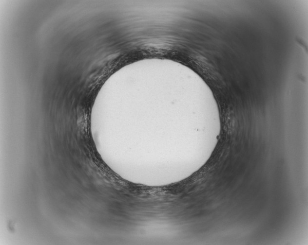 X0000101651061200807311408
