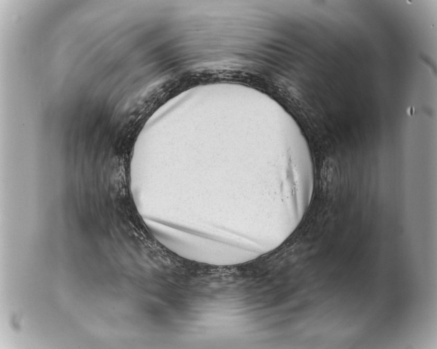 X0000101651062200807311408