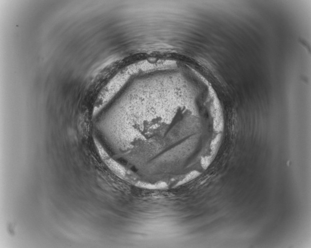 X0000101651063200807311408