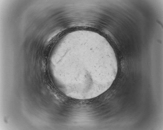 X0000101651064200807311408