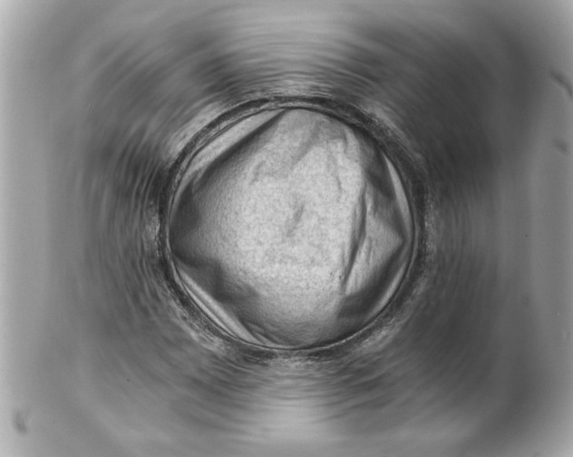 X0000101651065200807311408