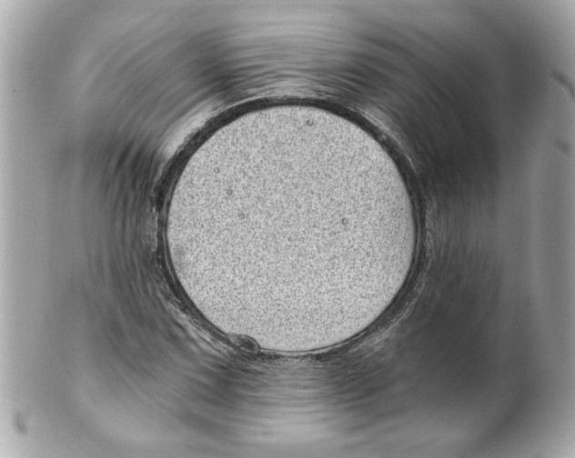 X0000101651067200807311408
