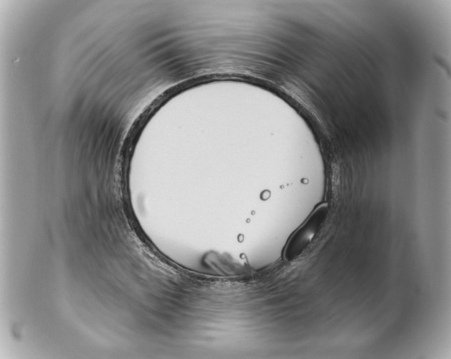 X0000101651068200807311408