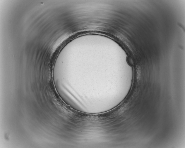 X0000101651069200807311408