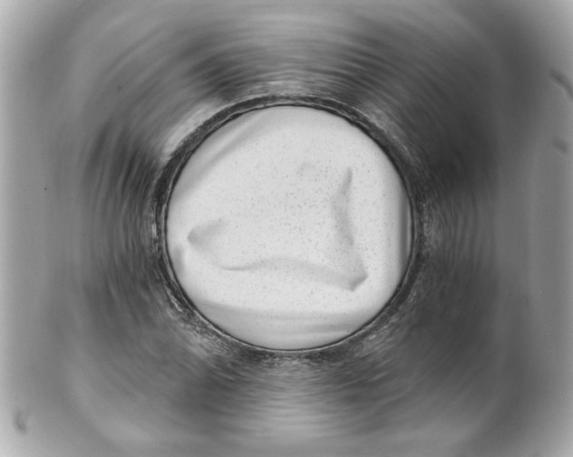 X0000101651070200807311408