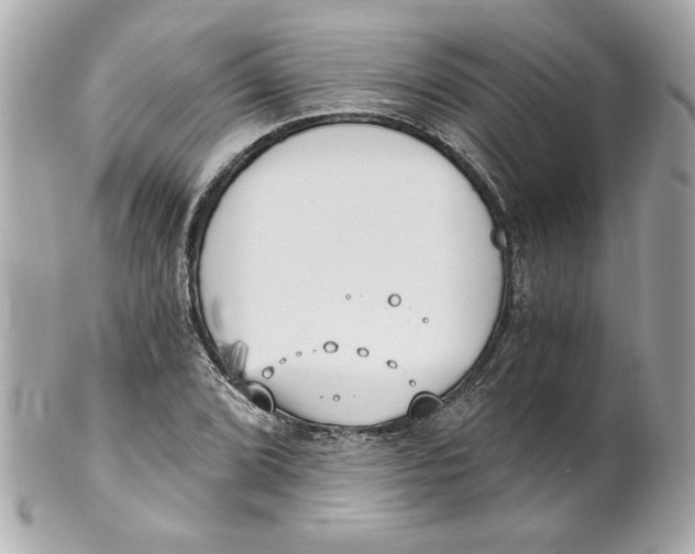 X0000101651072200807311408