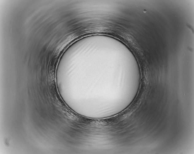X0000101651073200807311408