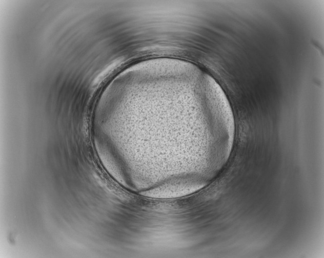 X0000101651074200807311408