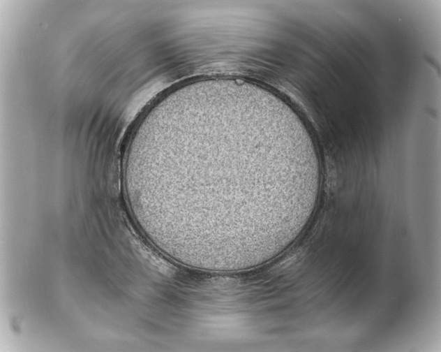 X0000101651075200807311408