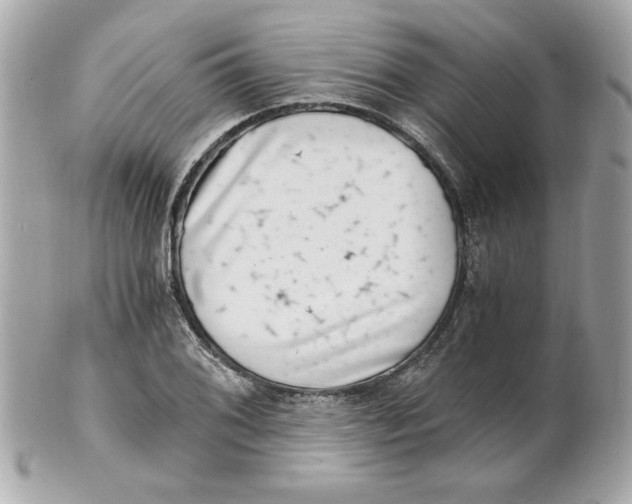 X0000101651076200807311408