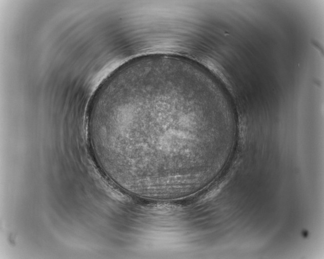 X0000101651077200807311408