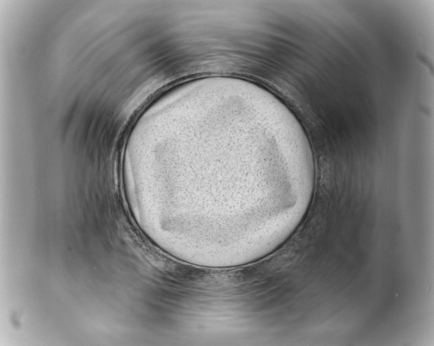 X0000101651078200807311408