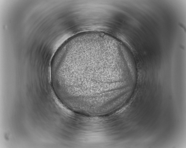 X0000101651079200807311408
