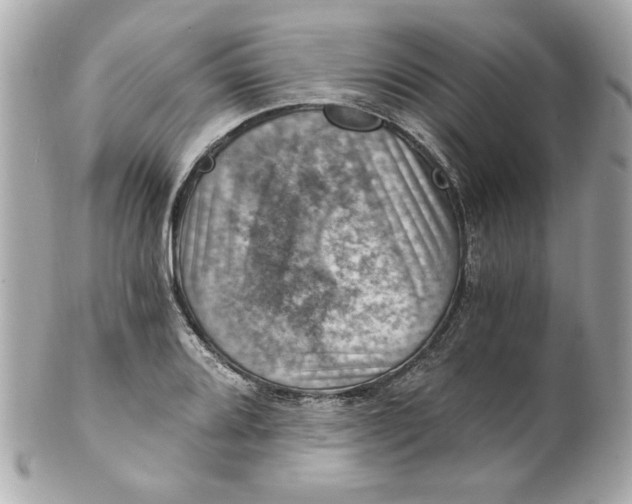 X0000101651080200807311408