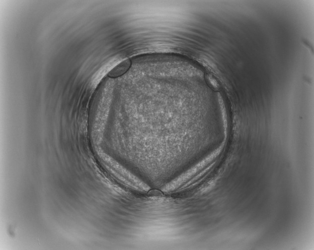 X0000101651081200807311408