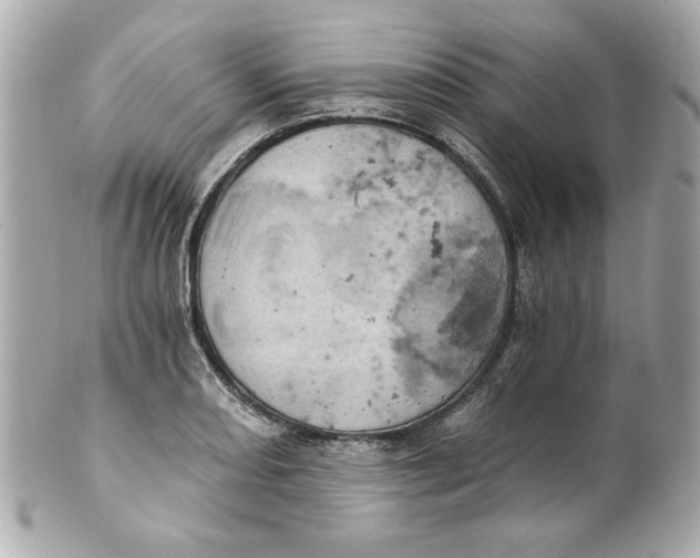 X0000101651082200807311408