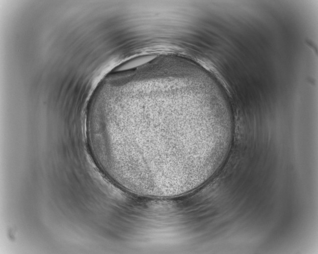 X0000101651083200807311408