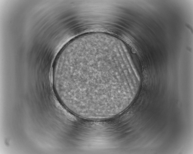 X0000101651084200807311408