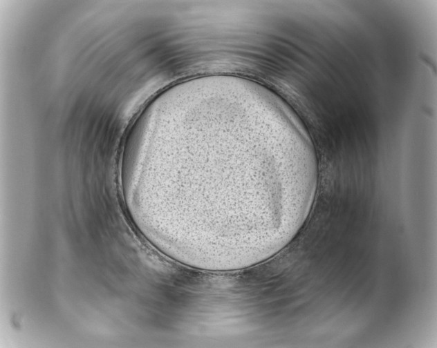 X0000101651086200807311408