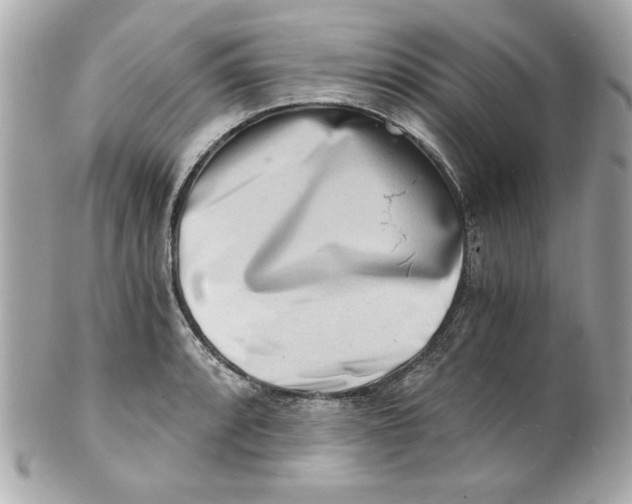 X0000101651088200807311408