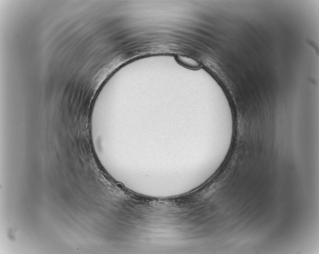X0000101651089200807311408