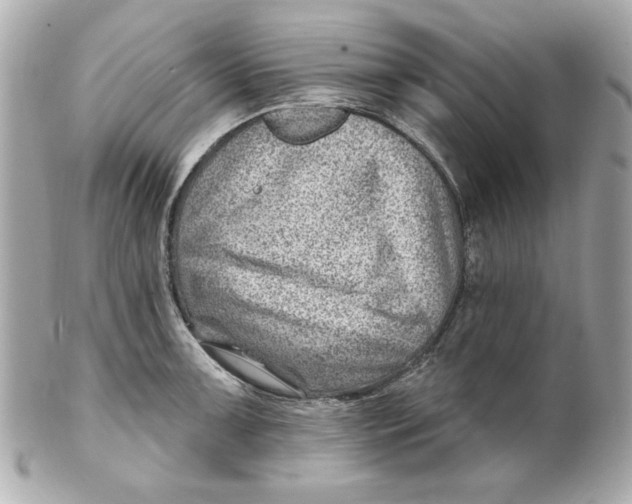 X0000101651091200807311408