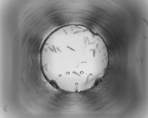 X0000101651092200807311408