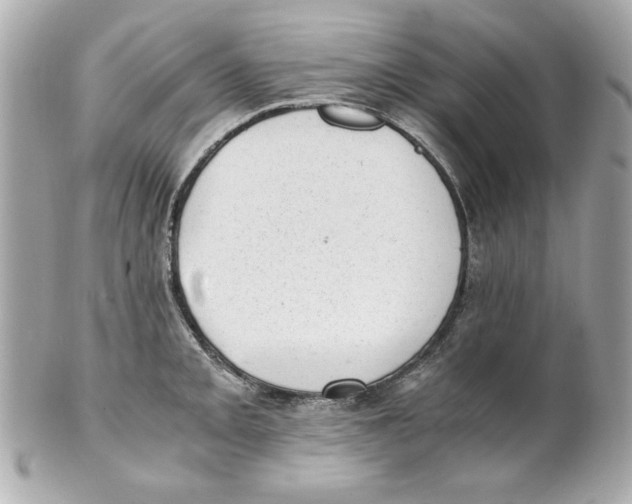 X0000101651093200807311408