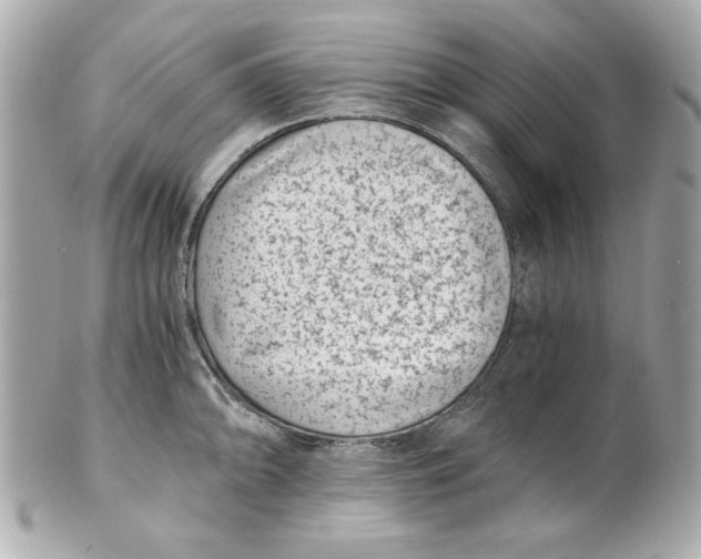 X0000101651094200807311408