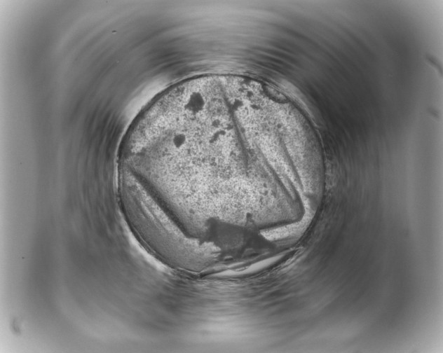X0000101651095200807311408
