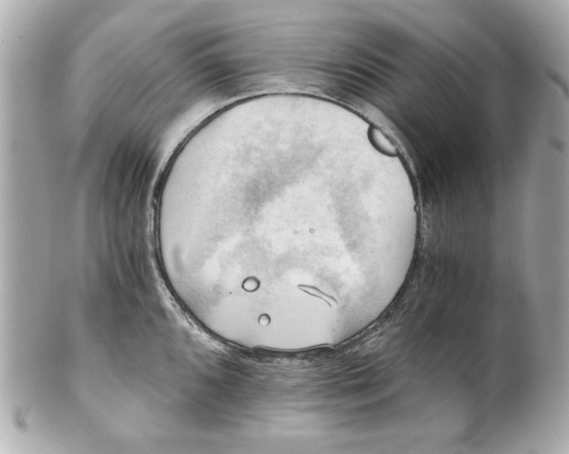 X0000101651096200807311408