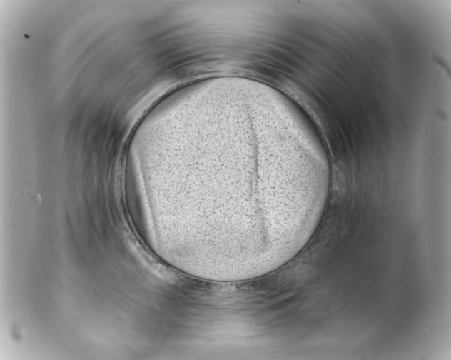 X0000101651098200807311408