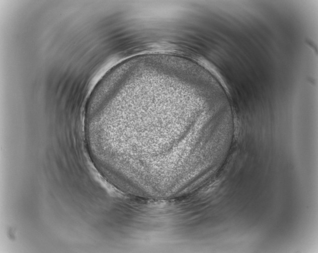 X0000101651099200807311408