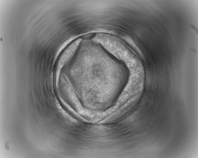 X0000101651100200807311408