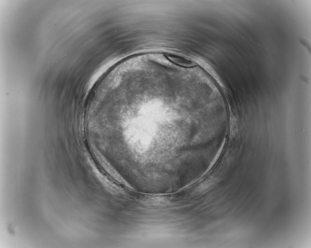 X0000101651101200807311408
