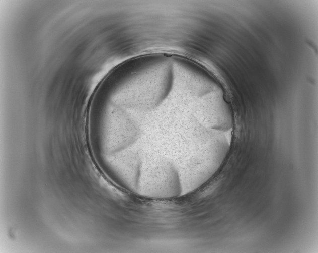 X0000101651102200807311408