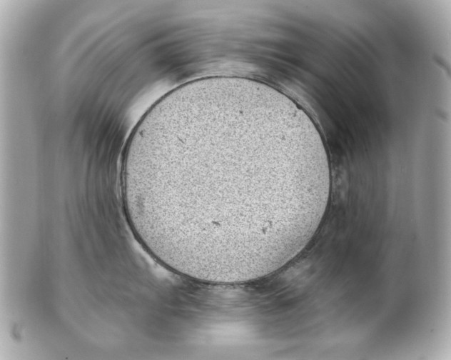 X0000101651103200807311408