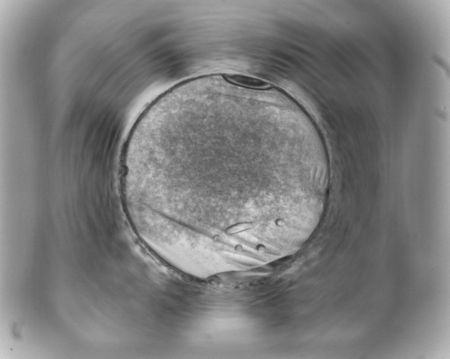 X0000101651104200807311408