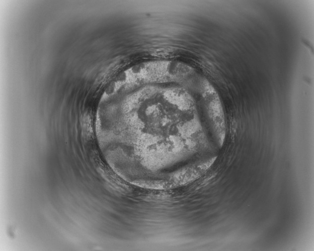 X0000101651106200807311407
