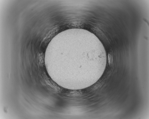 X0000101651107200807311407
