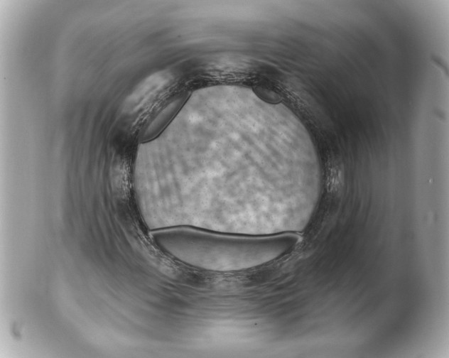 X0000101651108200807311407