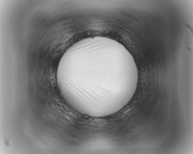 X0000101651109200807311407