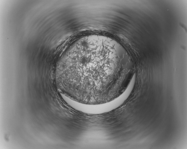 X0000101651110200807311407